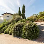 Di Sogno * Palazzo (Umbria)