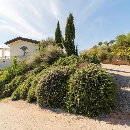 Di Sogno * Palazzo (Umbria)